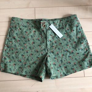 🆕 Anthropologie Shorts